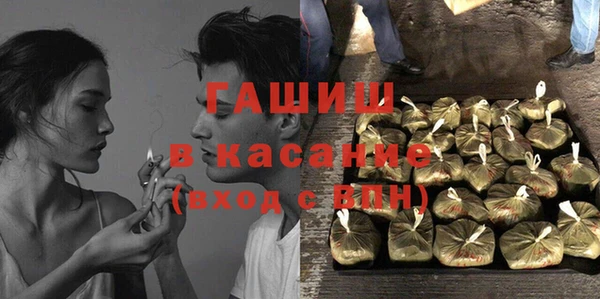 хмурый Магас