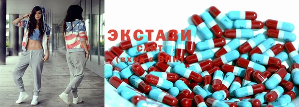 хмурый Магас