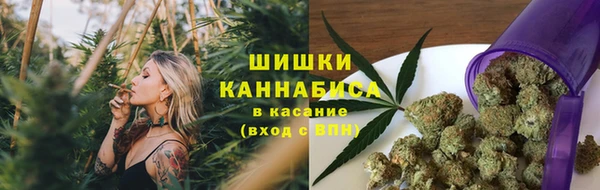 индика Заводоуковск